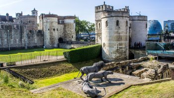 Best of Royal London with Tower of London & Changing of the Guard