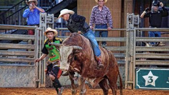 Vero rodeo western