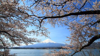 Mount Fuji Full-Day Tour with Cruise & Lunch