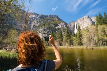 Esperienza totale a Yosemite con le sequoie giganti