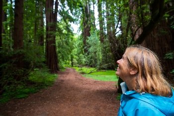 Muir Woods National Monument & Sausalito Tour