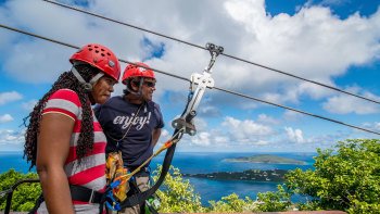 Tree Limin' Zipline Extreme