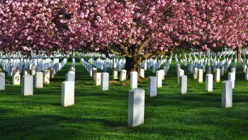,Excursión a Cementerio de Arlington