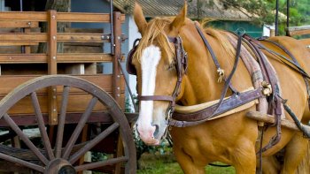 Ranch Day at Estancia Santa Susana