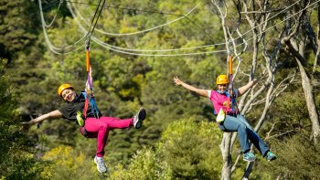 Wining, Dining & Zipling Tour on Waiheke Island