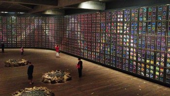 City Tour with MONA Museum Admission & Ferry Ride