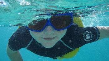 Sand Dollar Snorkeling