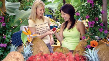 Byron Bay & Tropical Fruit World Day Tour