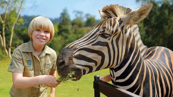 Australia Zoo Admission with Express Transfers