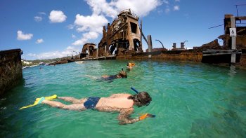 Moreton Bay Marine Park Eco Tour with Snorkelling