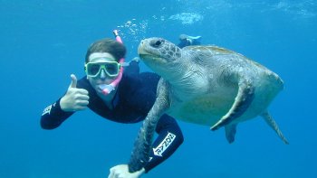 Sea Turtle Snorkelling Tour