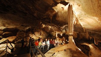 Jenolan Caves & Blue Mountains Tour with River Cruise