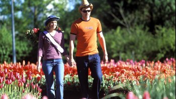 Canberra Full-Day Tour from Sydney