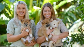 Australia Zoo Admission
