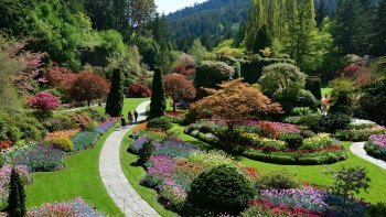 Victoria & Butchart Gardens Tour from Vancouver
