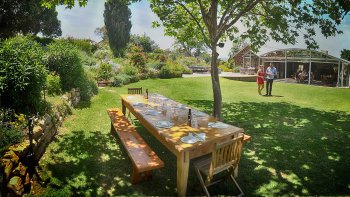 McLaren Vale Winery Experience Tour from Adelaide