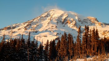 Mount Rainier Full-Day Tour