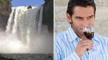 Snoqualmie Falls & Seattle Winery Tour