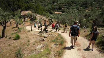 Wanderung durch die natürlichen Landschaften von Esporles