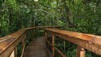 Réserve et parc aventure de Cinco Ceibas
