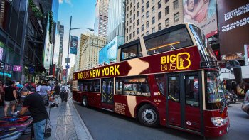 Hop-On Hop-Off Bus Tour