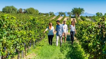 Small-Group VIP Wine Tasting: Torres & Llopart Cellars with Brunch