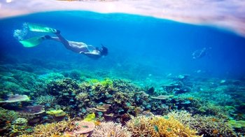 4-Day Cairns & Great Barrier Reef Tour
