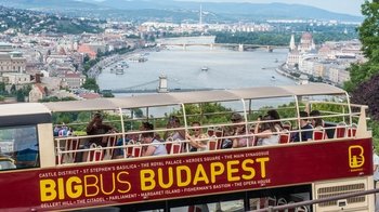 Hop-On Hop-Off Bus Tour
