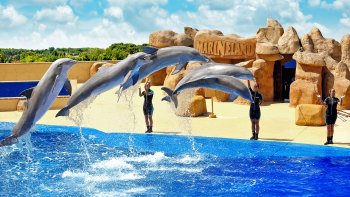 ,Marineland