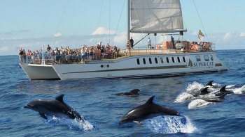 Relaxing Cruise Aboard the SuperCat
