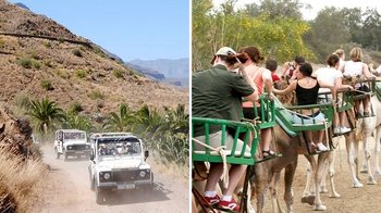 Thrilling 4x4 Safari & Camel Ride Adventure