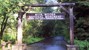 Muir Woods Tour of California Coastal Redwoods