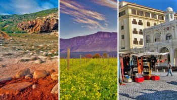 Best of the City & Surroundings Combo Tour