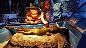 Austin Aquarium