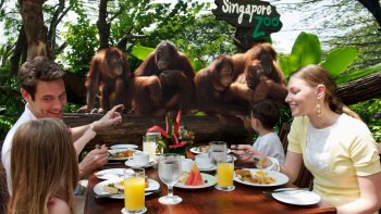 Jungle Breakfast with Wildlife at Singapore Zoo