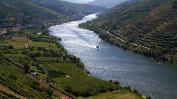 Small-Group Douro Valley with Lunch & Wine Tasting