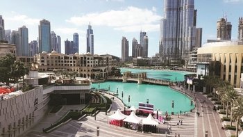 Full-Day City Tour with Lunch