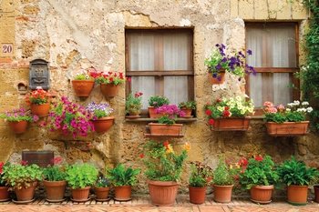 Tour di un giorno intero di San Gimignano, Siena e regione del Chianti