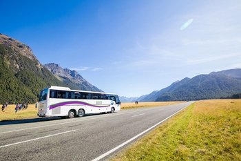 Milford Sound Coach & Cruise Day Tour