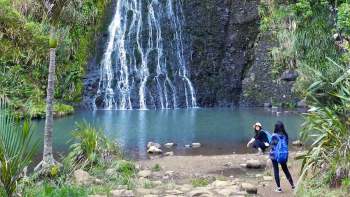Shore Excursion: City Highlights & Wilderness Experience