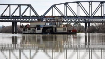 Adelaide Hills Tour & Murray River Cruise