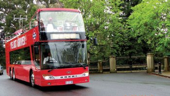 1-Day Hobart Hop-On Hop-Off Bus Tour