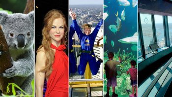 Ultimate Sydney Pass: Sydney Tower, SEA LIFE, WILD LIFE & Madam Tussauds