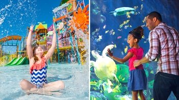 Biglietti per il parco SeaWorld Florida
