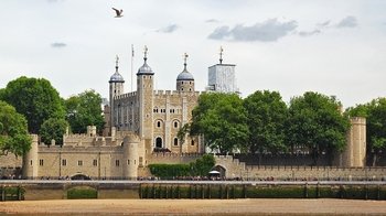 Welcome to London Full-Day Tour