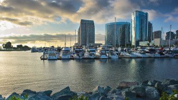 Half-Day Best of the City Tour