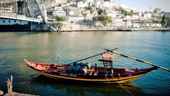 Full-Day City Tour with 6-Bridges Cruise