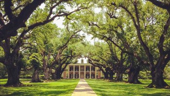Small-Group Oak Alley & Laura Plantation Tour