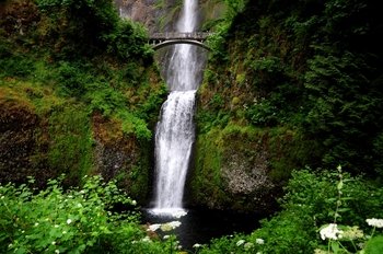 Half-Day Columbia River Gorge Waterfalls Tour