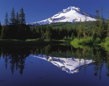 Full-Day Columbia River Gorge Waterfalls & Mt. Hood Tour